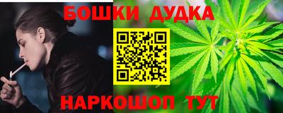 МДПВ Татарск