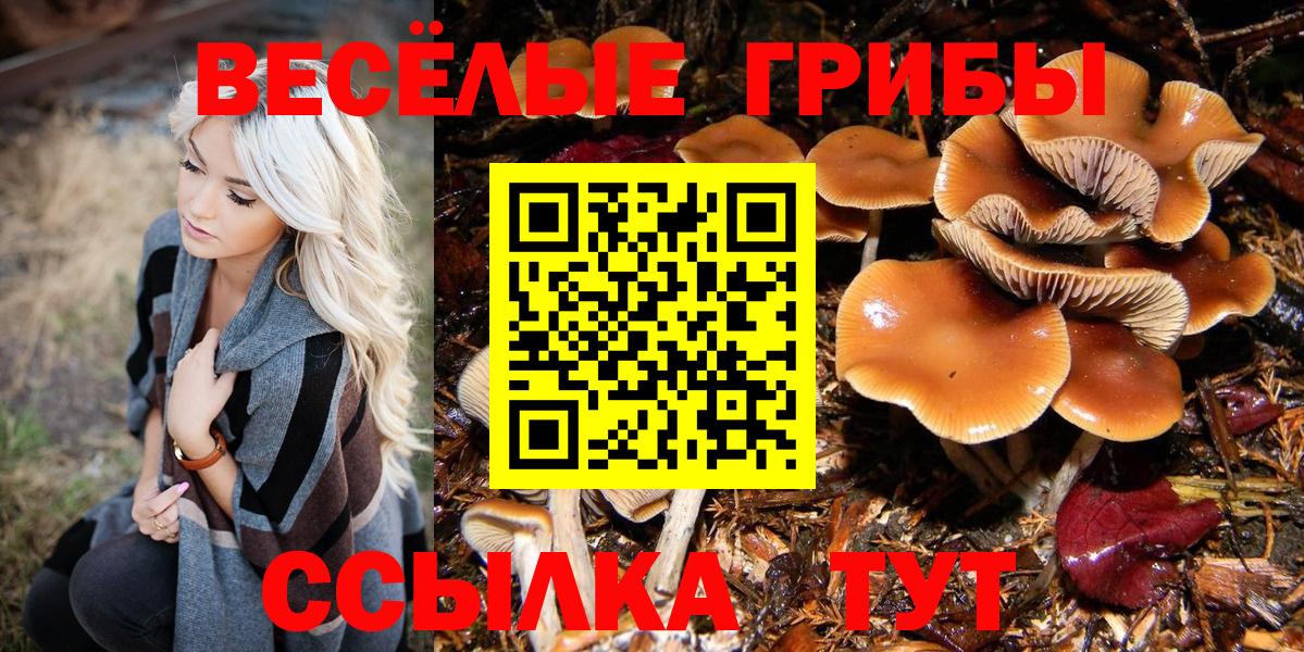 Псилоцибиновые грибы Magic Shrooms Новый Уренгой
